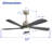 Damecia 52'' Ceiling Fan with LED Lights-1444270904