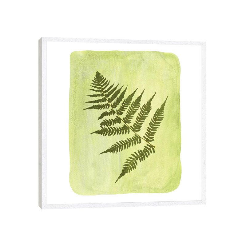 Fern by Whales Way - Painting on Canvas, 45.72cm H x 45.72cm W x 3.81cm D, White Framed