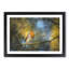 Robin Bird in a Tree - Picture Frame Painting Print-56758583-56758584