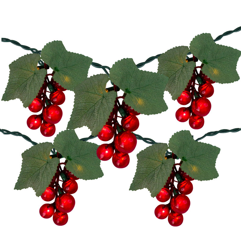 Ensemble de 5 guirlandes de lumières pour terrasse en grappe de raisin rouge 5 fils - fil vert