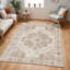 Ailsa Oriental Area Rug-1764176710