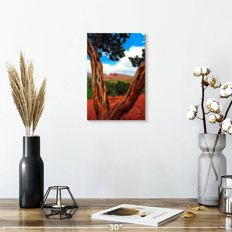 Aime Desert Reds, 12" H x 8" W