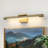 Dimmable Led Aluminum Wall Mounted Picture Light