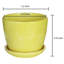 Ceramic Pot Planter