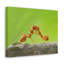 No Frame Print on Canvas-812327674