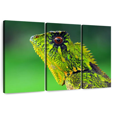 Brampt Exotic Lizard