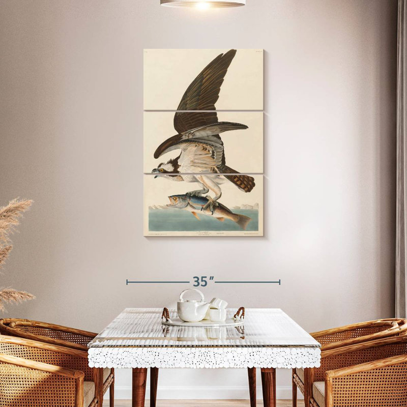 Brampt Osprey And Weakfish