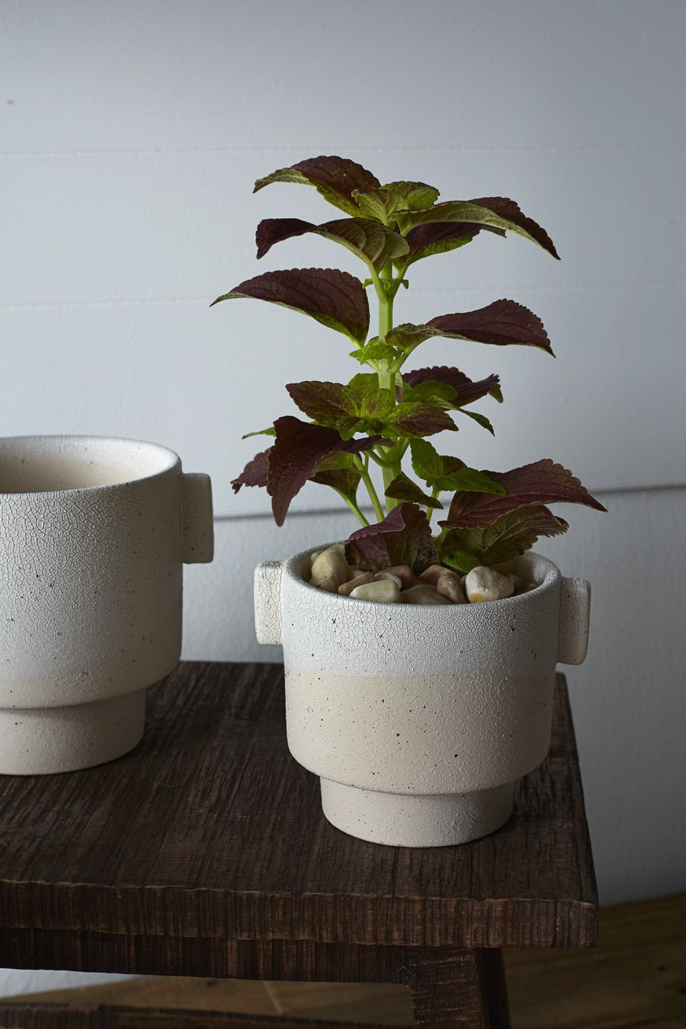 5" Ceramic Pot Planter, 4.5" H x 4.5" W x 6" D