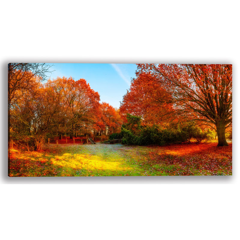 " Fall Forest ", 24" H x 48" W x 1.5" D