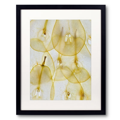 Pear Slices Print by Harold Davis