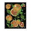 Pamplemousse et fougères Medley, estampe numérique, design par Susan Lugar-122749201-122749196