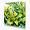 Légumes, moutarde, verts, toile beige
