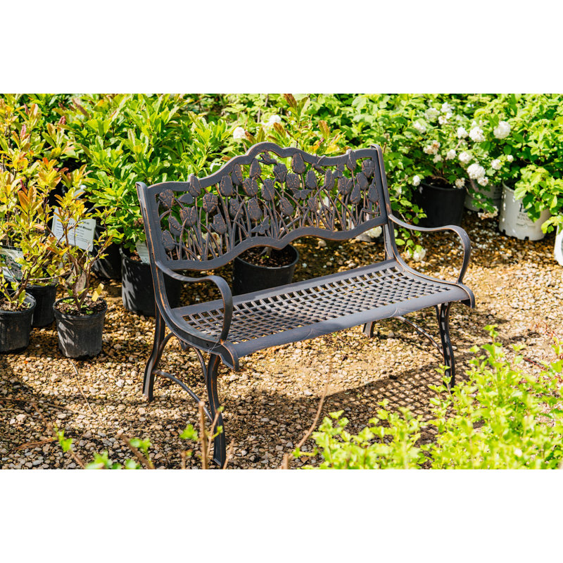 Banc de parc Cohen