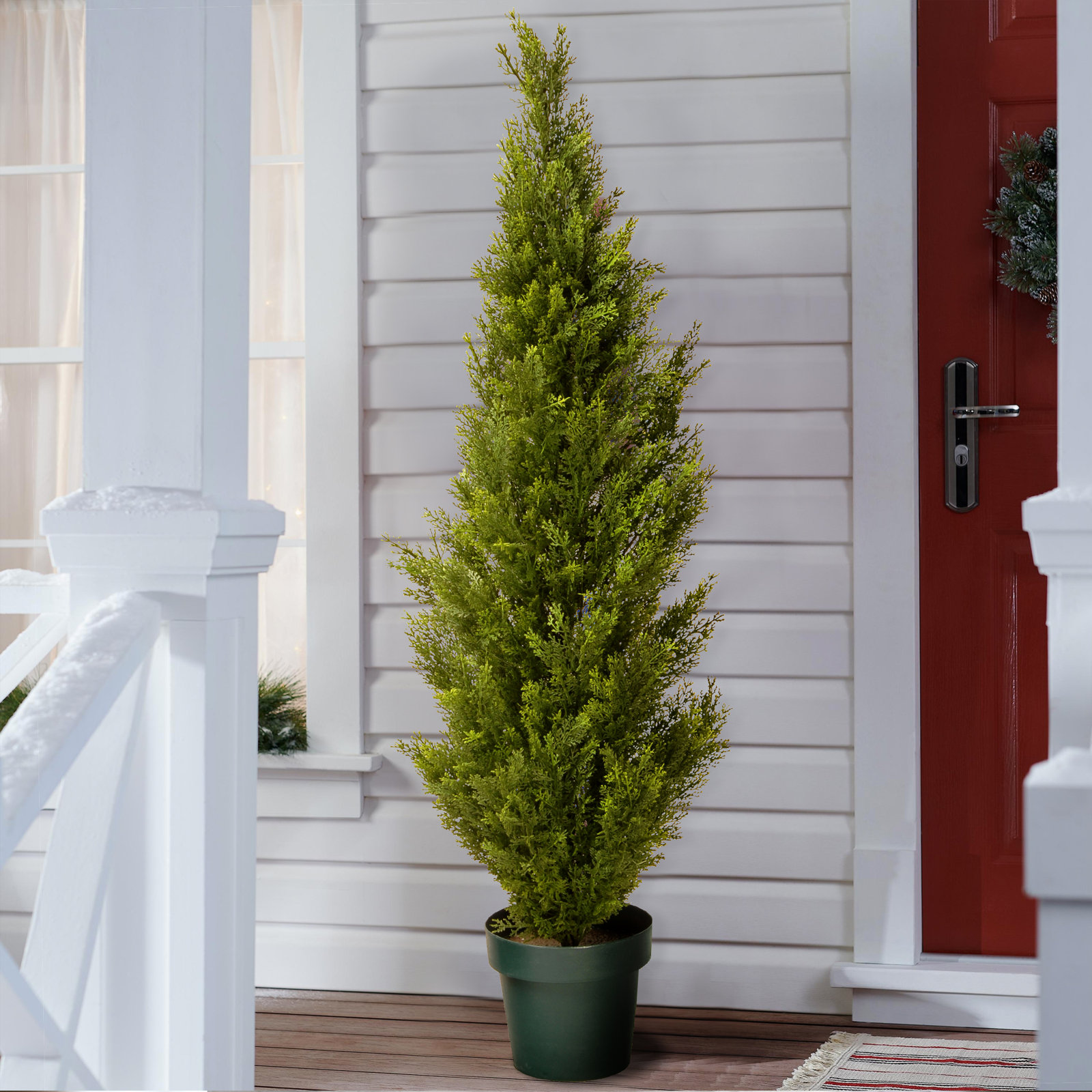 53" Cedar Topiary in Pot