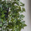 Faux Devil's Ivy (Scindapsus Aureus) Plant in Pot-1117032373