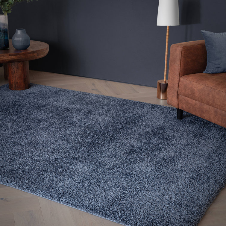 Taiwo Shaggy Navy Area Rug