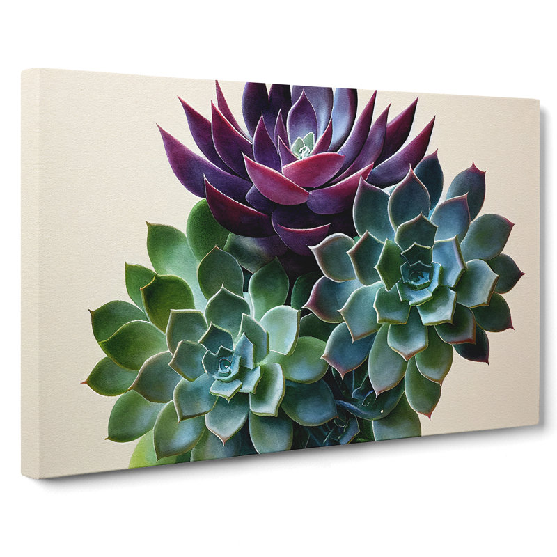 Watercolour Succulent Plant Vol.2 - Wrapped Canvas, 35cm H x 50cm W x 3cm D