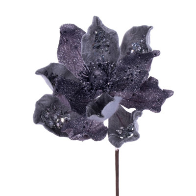 Tige de magnolia