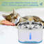 Plat d'eau en acier inoxydable pour animaux avec fontaine automatique
