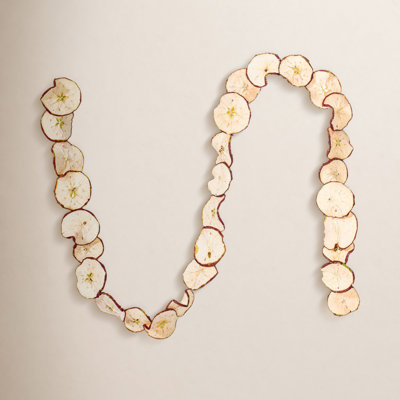 120" Apple Thanksgiving Garland