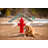 Bark Park Misting Fire Hydrant