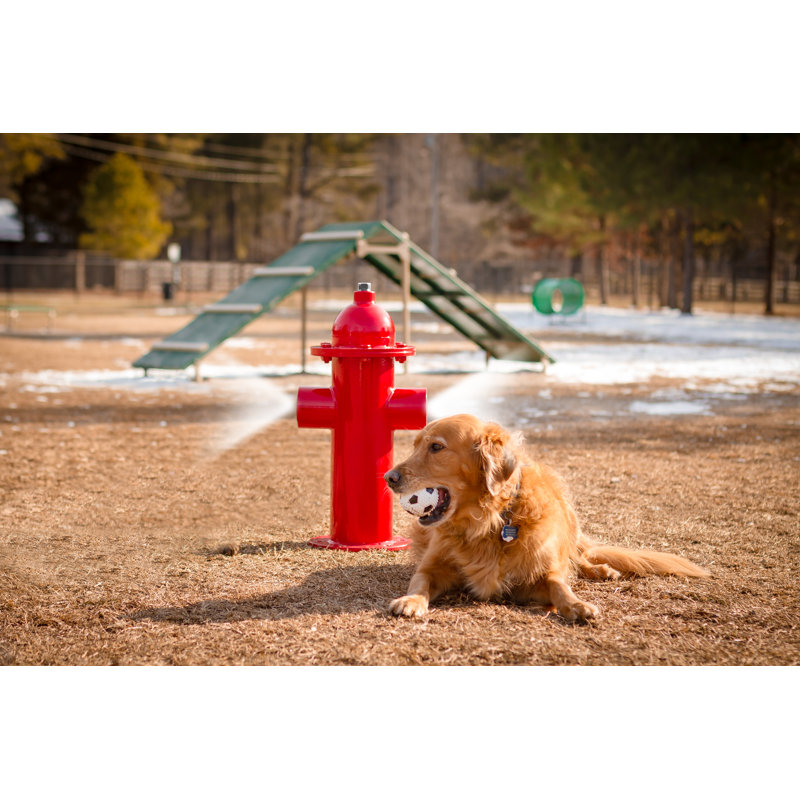Red Plastic Surface Mounted Fire Hydrant for Dog Parks