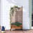 Allistir 50" H Wood Planter Box with Trellis