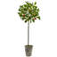 Olive artificielle 30,5 po en pot