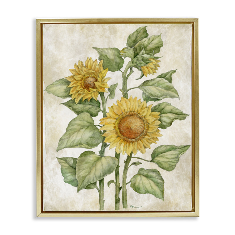 Cadre flottant à motif floral tournesol, design par Paul Brent, 21 x 17, Metallic Gold Floater Framed
