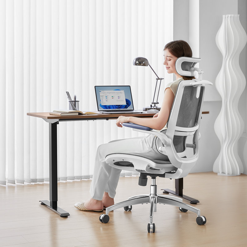 M59as Ergonomic Office Chair With 3d Lifting Armrests, Double Back, Adaptive Dynamic Lumbar Support, Gray, Gray