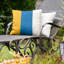 Coussin Golden State-48929548-48929560