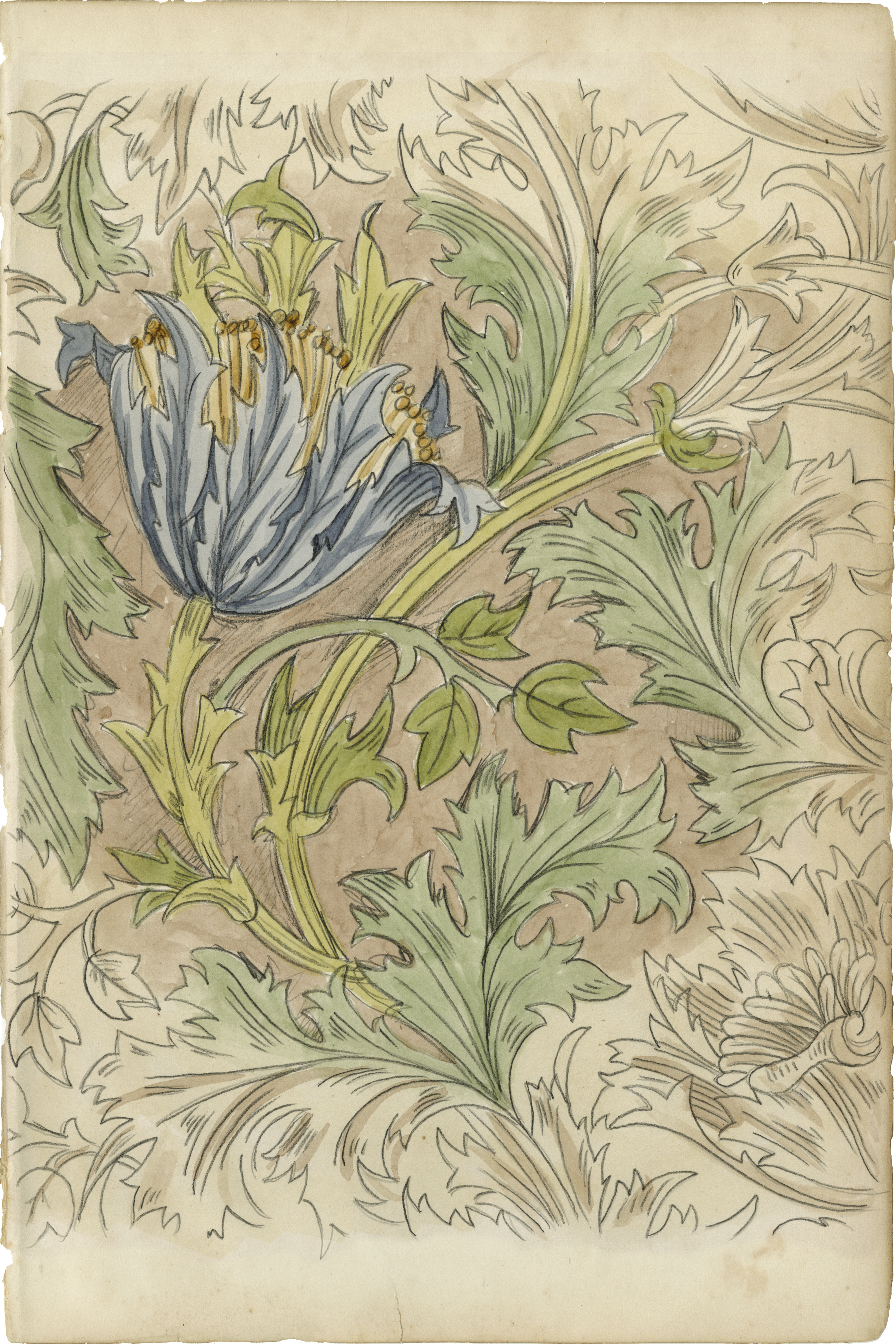 Pattern Study Art August Grove Floral Pattern Study III - Graphic Art | Wayfair.co.uk