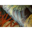 Tropical Collection Bora Bora Coral Inspired 27.8' L x 27.5" W Wallpaper Roll-73447863