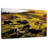 Brampt Hilltop Cows-108135033