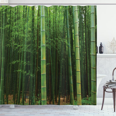 Shower Curtain with Hooks Included