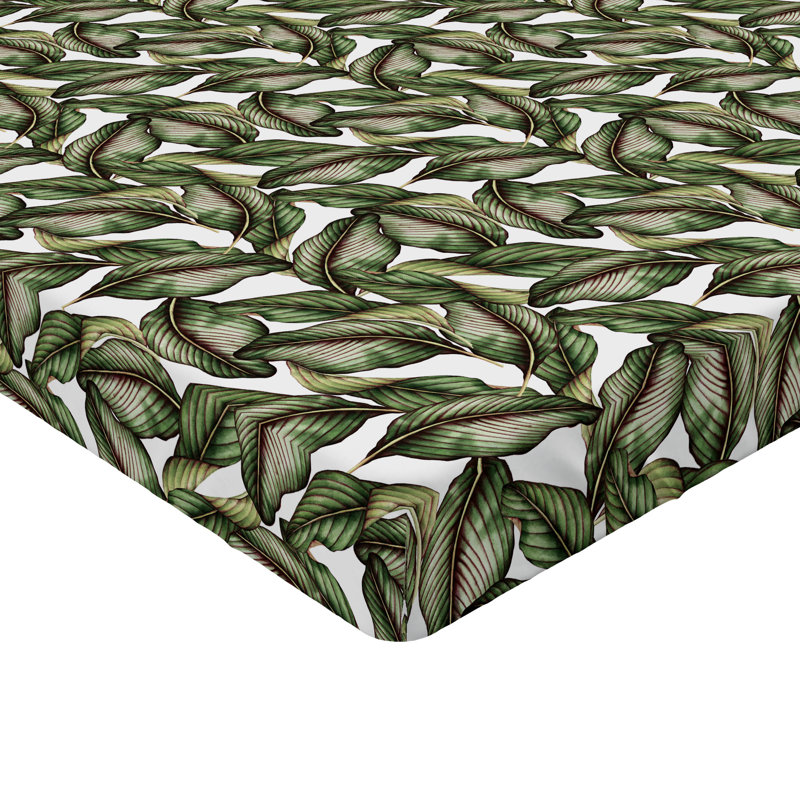 Drap-housse Ambesonne, Drap-housse de taille double