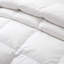 Édredon en duvet blanc 800-596352114