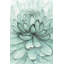 Fleur turquoise - reproduction encadrée pour la décoration de chambre à coucher-583431125-583431127