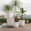 Ensemble de 3 pots à fleurs avec trous de drainage et bouchon en caoutchouc-757634715