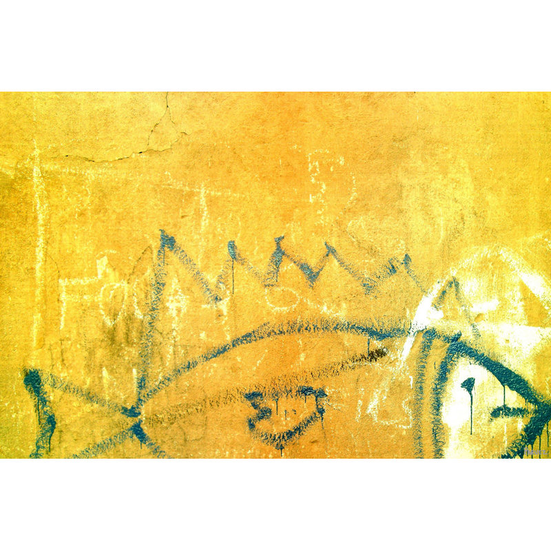 Parvez Taj - Wrapped Canvas Print, 61cm H x 91cm W