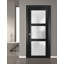 Porte de garage prémontée à la française, verre dépoli, Lucia 2552, noir mat, panneau simple, cadre, poignées, pour salle de bain ou chambre, portes robustes - 76 cm x 244 cm-109770488-109770507
