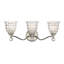  Birone 3-Light Bathroom Vanity Light in Polished Nickel-1686656402-1686656403