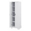 Armoire de rangement polyvalente 2 portes-1539473325