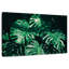 Harnek Lush Tropical
