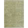 Machine Washable Indoor/Outdoor Hashlamoun ACN2324 Ikat Rug