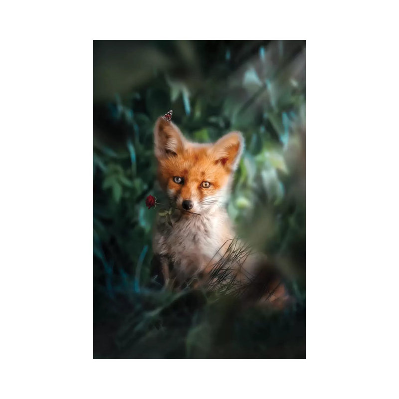 The Gentle Fox Cub by Zenja Gammer - Print on Canvas, Wrapped Canvas, 20.32 cm H x 30.48 cm W