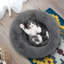 Lit pour chien Donut, lit douillet, douillet, chaud, moelleux, rond et moelleux pour animal de compagnie, lavable à la machine-379643120-379643124
