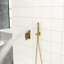 Ceiling Mounted Dual Shower Head, 16 Inch, Brushed Nickel Inch-121076823