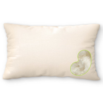 Organic Cotton Pillow with Pillowcase – Organic Kapok Filled Soft Pillow with Hypoallergenic, Breathable Fabric Washable Protector, 20" x 30"