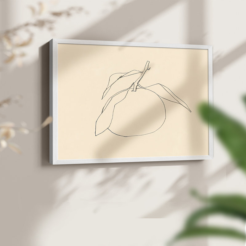 «Citrus Contour I», reproduction encadrée, H 16 po x l 20 po, Blanc